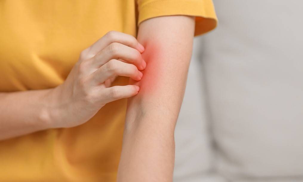 Screenshot 2026-02-02 104424